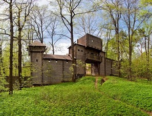 Дьяково городище фото