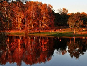Вид прудов и парка усадьбы «Влахернское-Кузьминки»